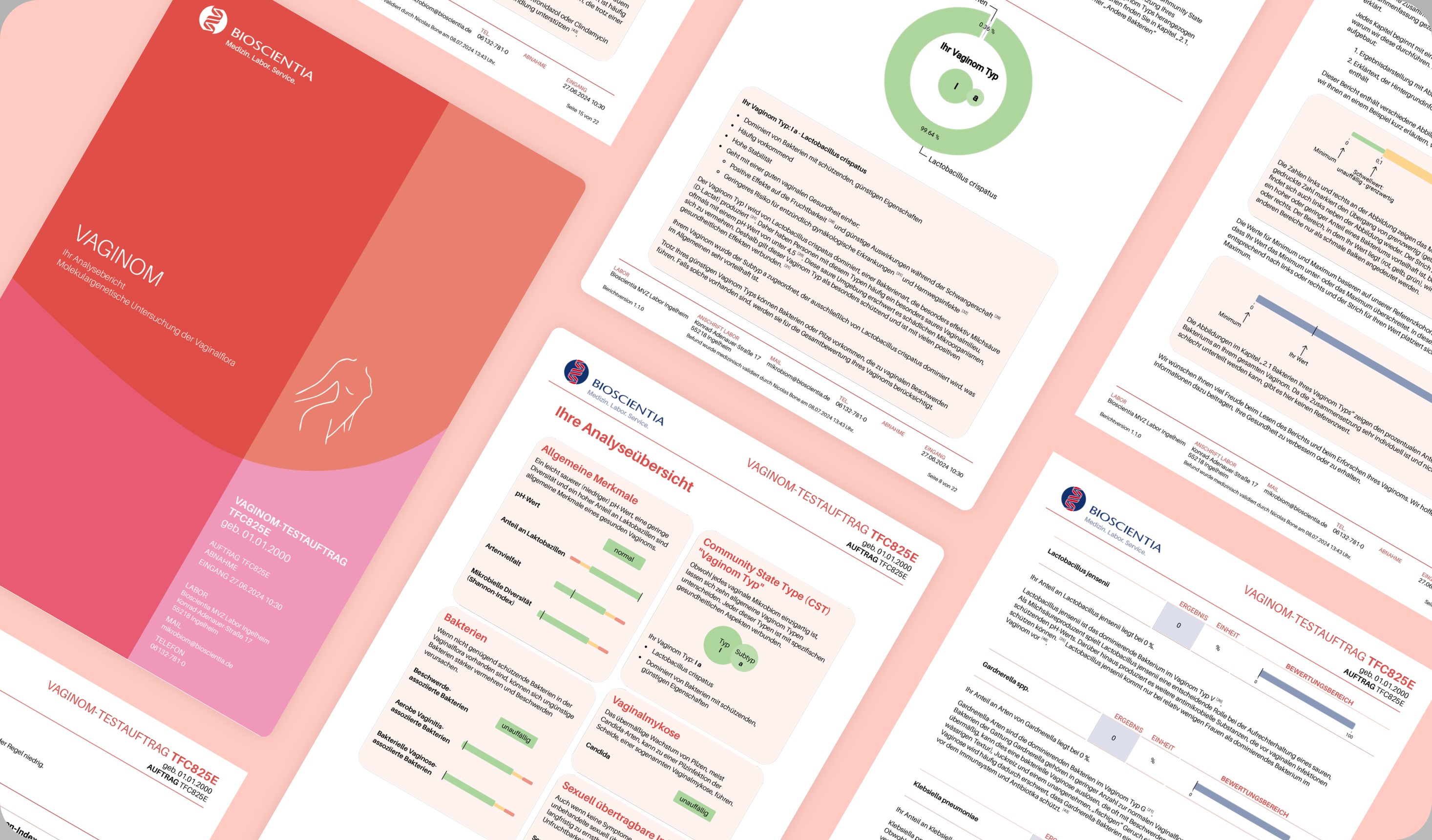 Mehrere Seiten des Musterbefunds des Vaginomtests sind nebeneinander dargestellt