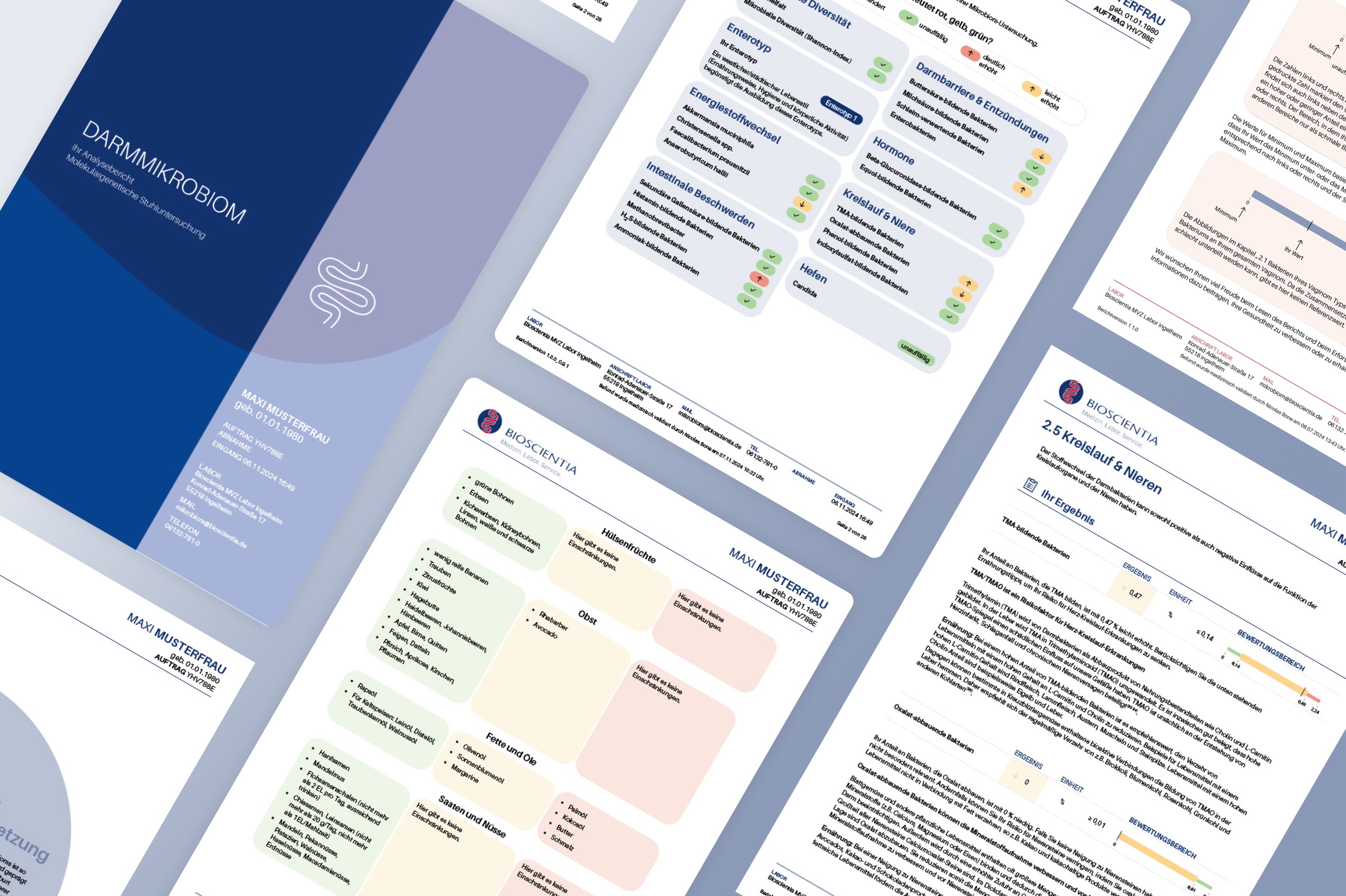 Mehrere Seiten des Musterbefunds des Darmmikrobiomtests sind nebeneinander dargestellt